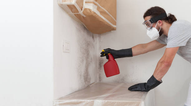 Professional Mold Removal technician working in Chester, IL