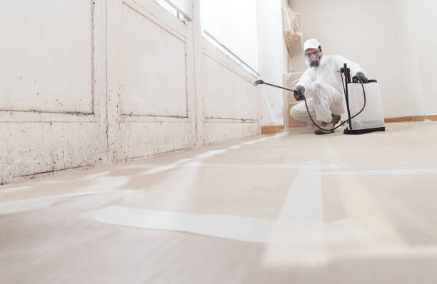 24/7 Emergency Mold Removal experts in Chester, IL
